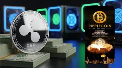 as-xrp-fell-below-the-$3-mark,-ripplecoin-mining-pioneered-a-safe-haven-cloud-mining-solution.