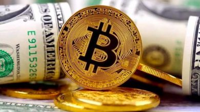 seize-the-market-volatility:-open-miner-launches-xrp-stable-income-program
