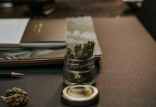 best-recreational-weed-brands:-a-smoker’s-guide-to-what-actually-hits