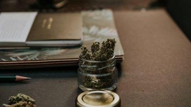 best-recreational-weed-brands:-a-smoker’s-guide-to-what-actually-hits